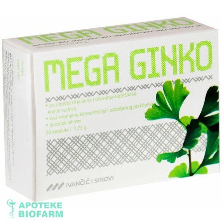 Mega Ginko Kaps. 30X120Mg