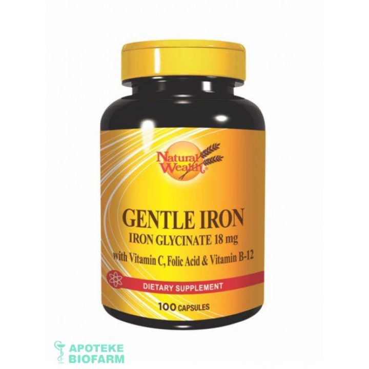NW GVOZDJE+VITAMIN C+FOLNA+B12 A100 Nw.gvozdje+Vit.c+Folna+B12 A100