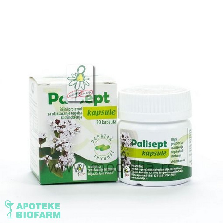 Pancic Palisept Kaps. A30