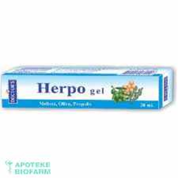 DOCTOR S HERPO GEL 20ML Doctor S Herpo Gel 20Ml