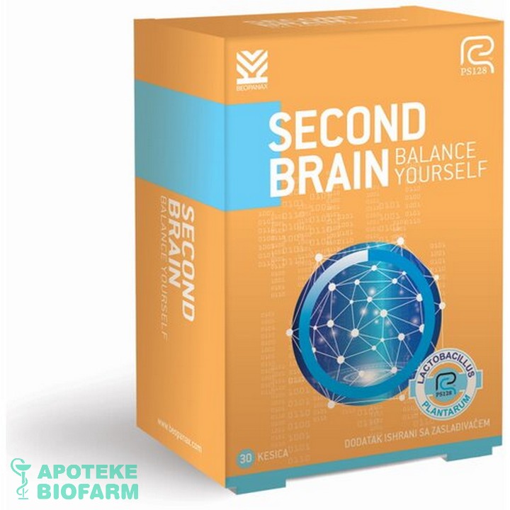 SECOND BRAIN KESICE A30 Second Brain Kesice A30