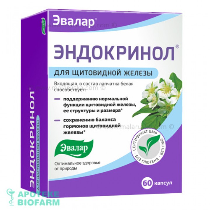 Endokrinol A 60