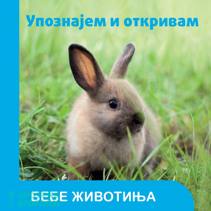 UPOZNAJEM I OTKRIVAM-BEBE ŽIVOTINJE