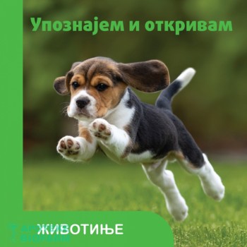 UPOZNAJEM I OTKRIVAM -DIVLJE ŽIVOTINJE