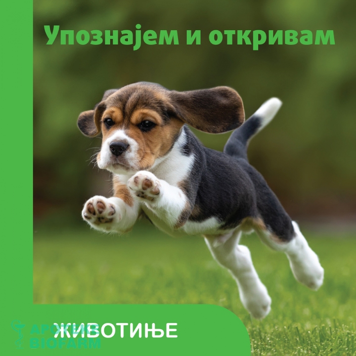 UPOZNAJEM I OTKRIVAM -DIVLJE ŽIVOTINJE