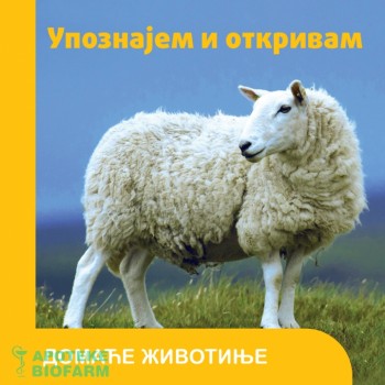 UPOZNAJEM I OTKRIVAM-DOMAĆE ŽIVOTINJE