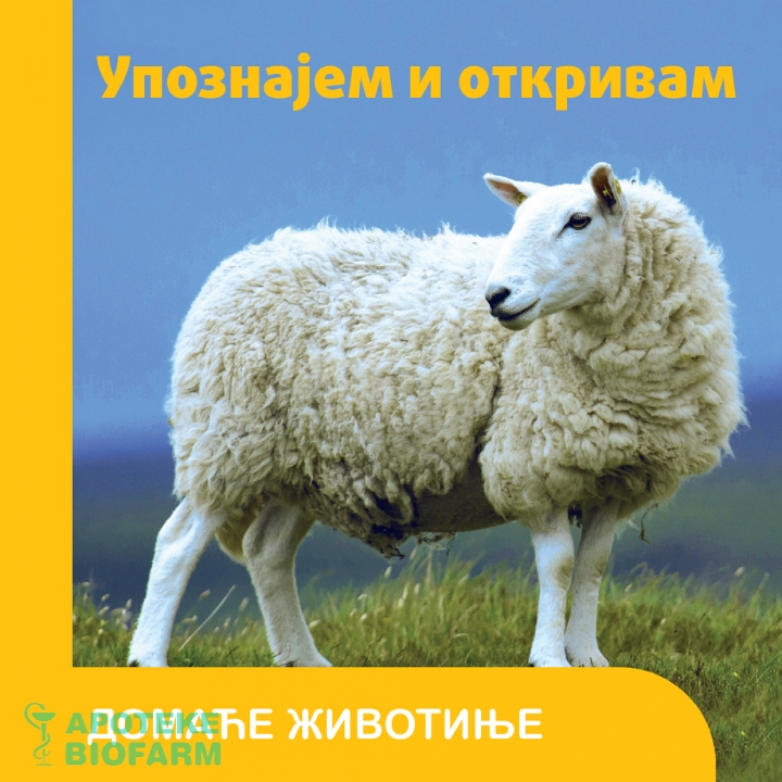 UPOZNAJEM I OTKRIVAM-DOMAĆE ŽIVOTINJE