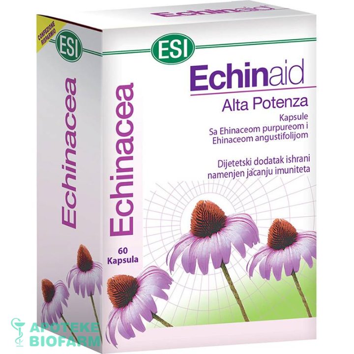 Esi Echinaid Kaps. 60X605Mg
