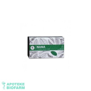 CAJ NANA LIST FILTER A20 IJP